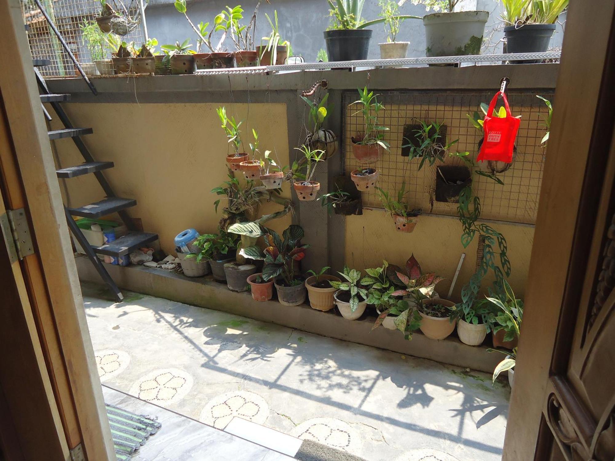 The Reinhold Guesthouse Bali Kerobokan Εξωτερικό φωτογραφία